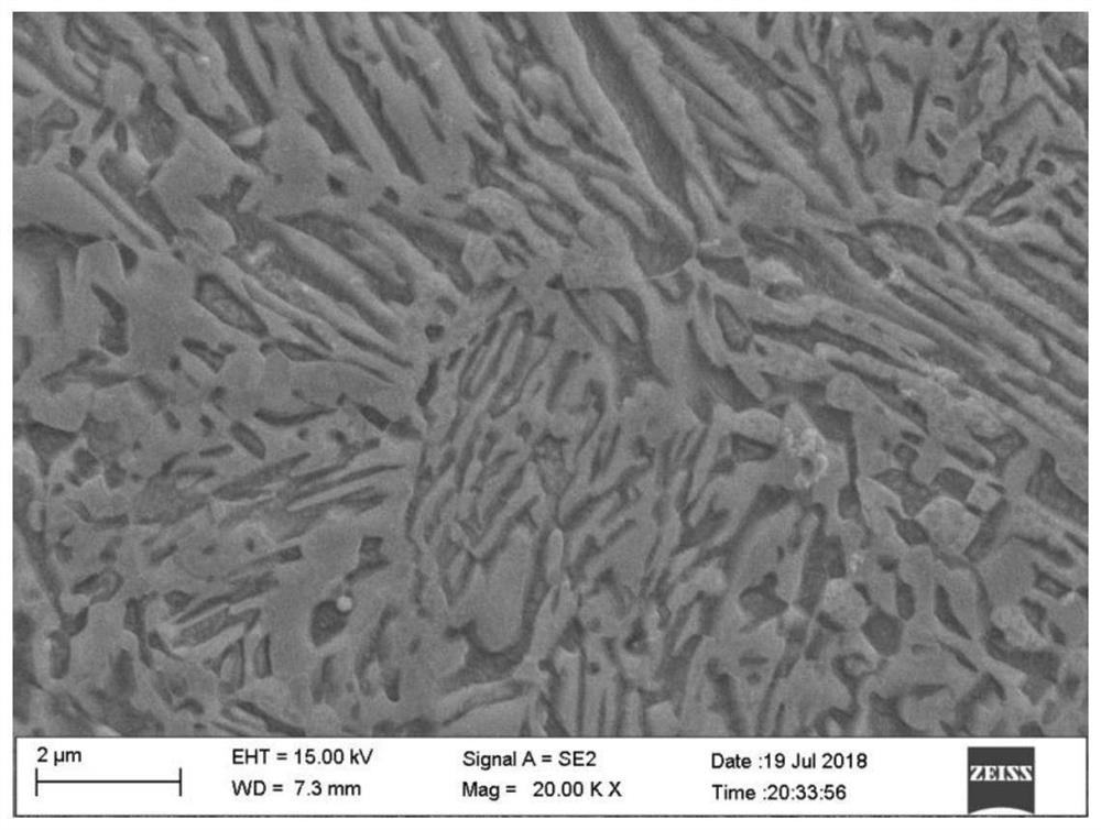 Preparation method and observation method of medium manganese steel metallographic specimen