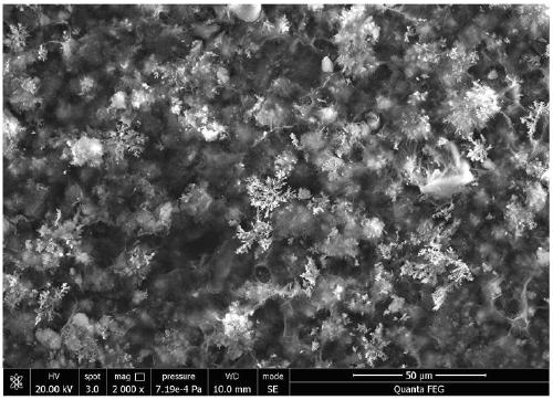 Preparation method of rare earth/silane doped composite superhydrophobic functional coating