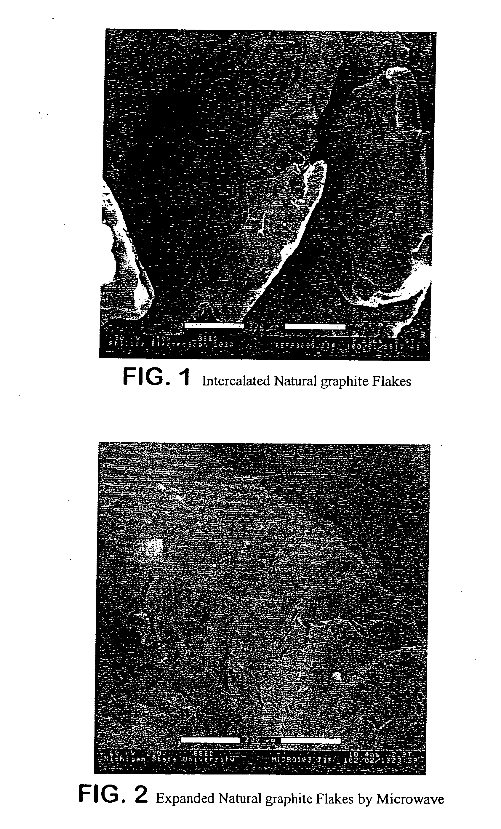 Expanded graphite and products produced therefrom