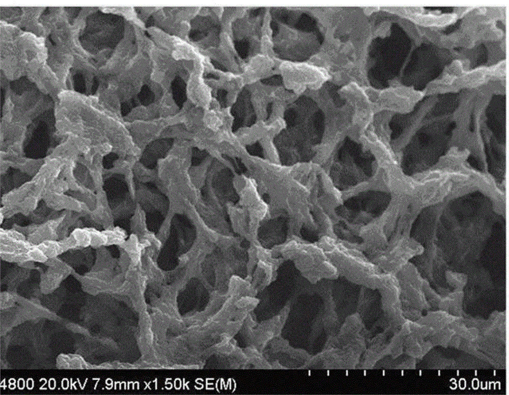 Preparation method of super-hydrophilic super-oleophilic three-dimensional graphene foam material