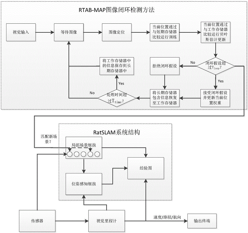 SLAM method based on rodent model and RTAB-Map closed-loop detection algorithm