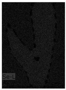 Preparation method of Fe (Se, Te) superconducting wire