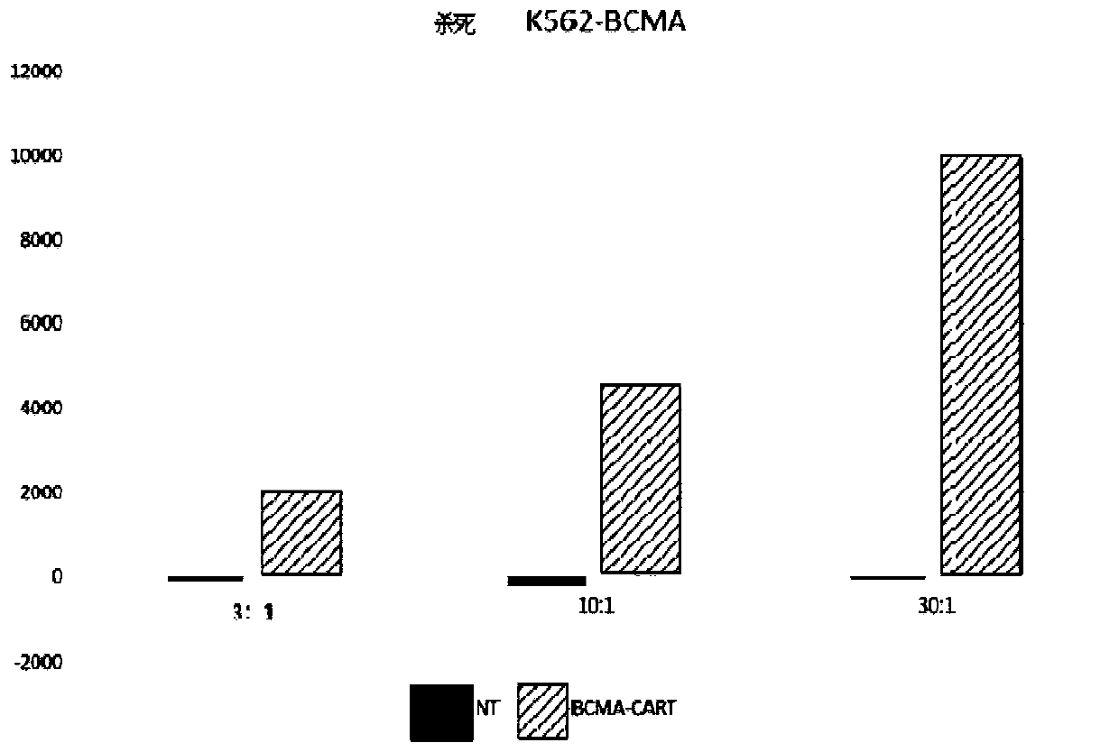 Target BCMA chimeric antigen receptor, nucleic acid sequence, carrier and application