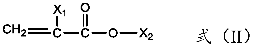 Fluorosilicone graft copolymer, surface treating agent and application