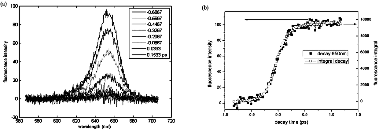 Integral femtosecond time resolution fluorescence lifetime measurement spectrograph