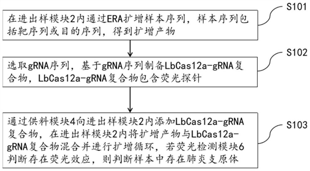 Mycoplasma pneumoniae detection device and detection method