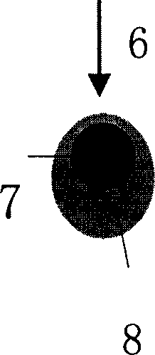 Optical storage medium containing unordered nano composite film and its application