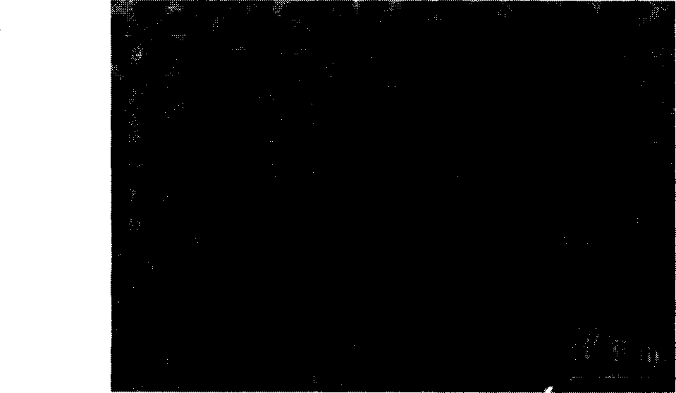 Optical storage medium containing unordered nano composite film and its application