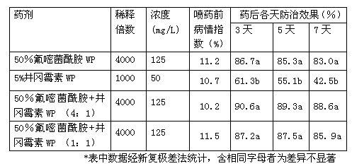 Fungicide composition of fluoride containing ether bacteria amide and validamycin