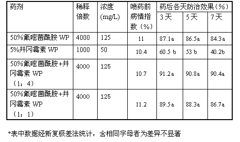 Fungicide composition of fluoride containing ether bacteria amide and validamycin