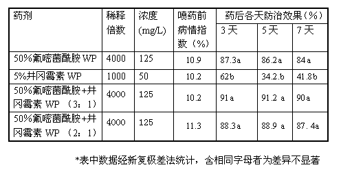 Fungicide composition of fluoride containing ether bacteria amide and validamycin