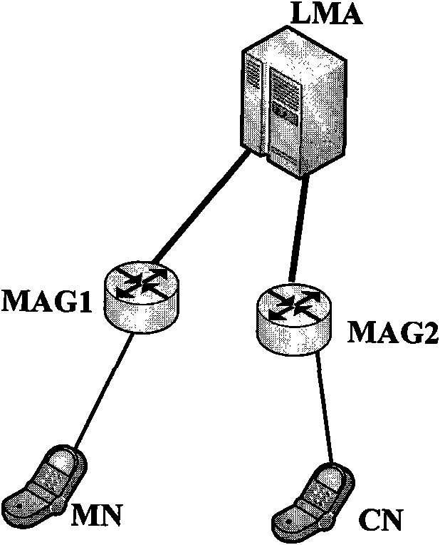 Optimized communication method of mobile node in proxy mobile IPv6 (Internet Protocol Version 6) domain and communication node in mobile IPv6 domain