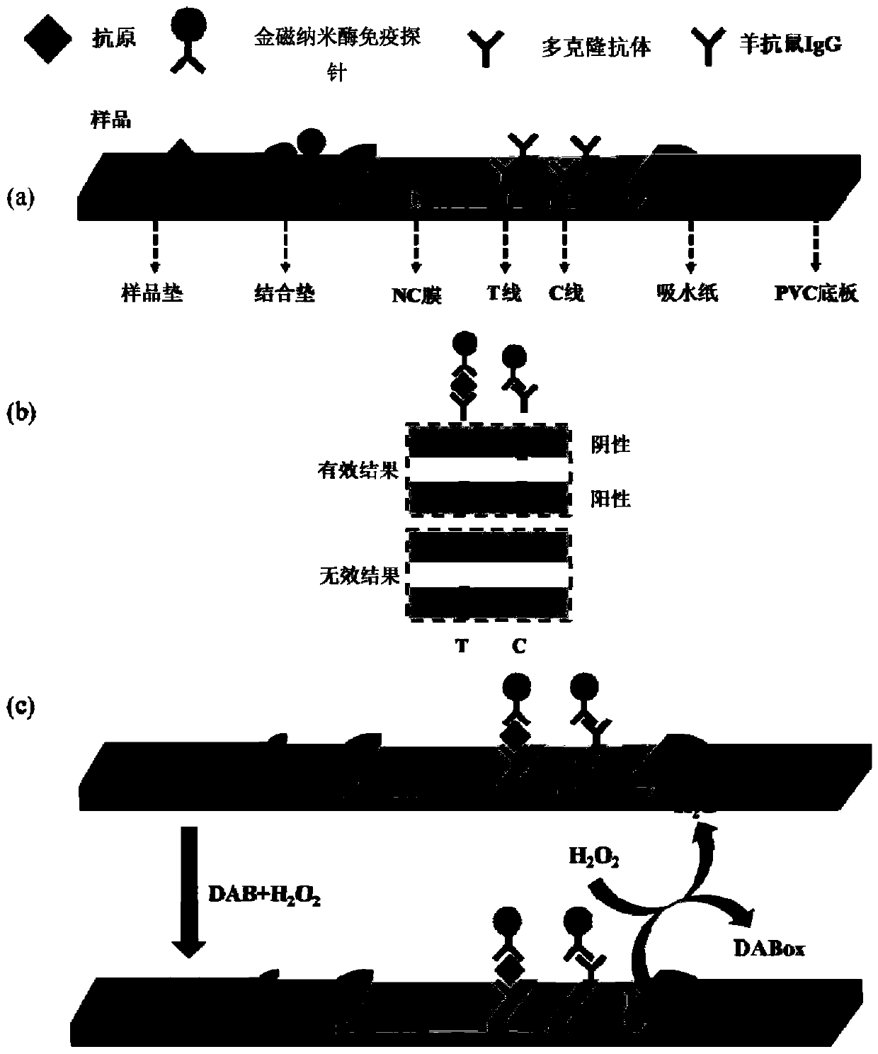 Lateral flow immunochromatographic assay test paper based on gold magnetic nano-enzyme immune probe as well as preparation method and application of lateral flow immunochromatographic assay test paper