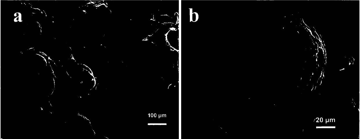 Preparation method of porous graphitized hollow carbon microsphere