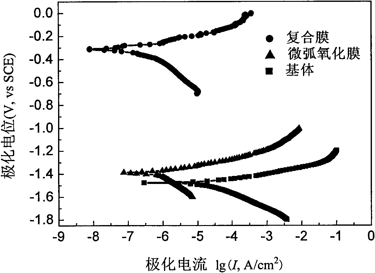 Magnesium alloy surface hydrophobization compound processing method