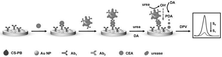 An electrochemical immunosensor based on Prussian blue and an electrochemical immunosensing method and application based on the sensor