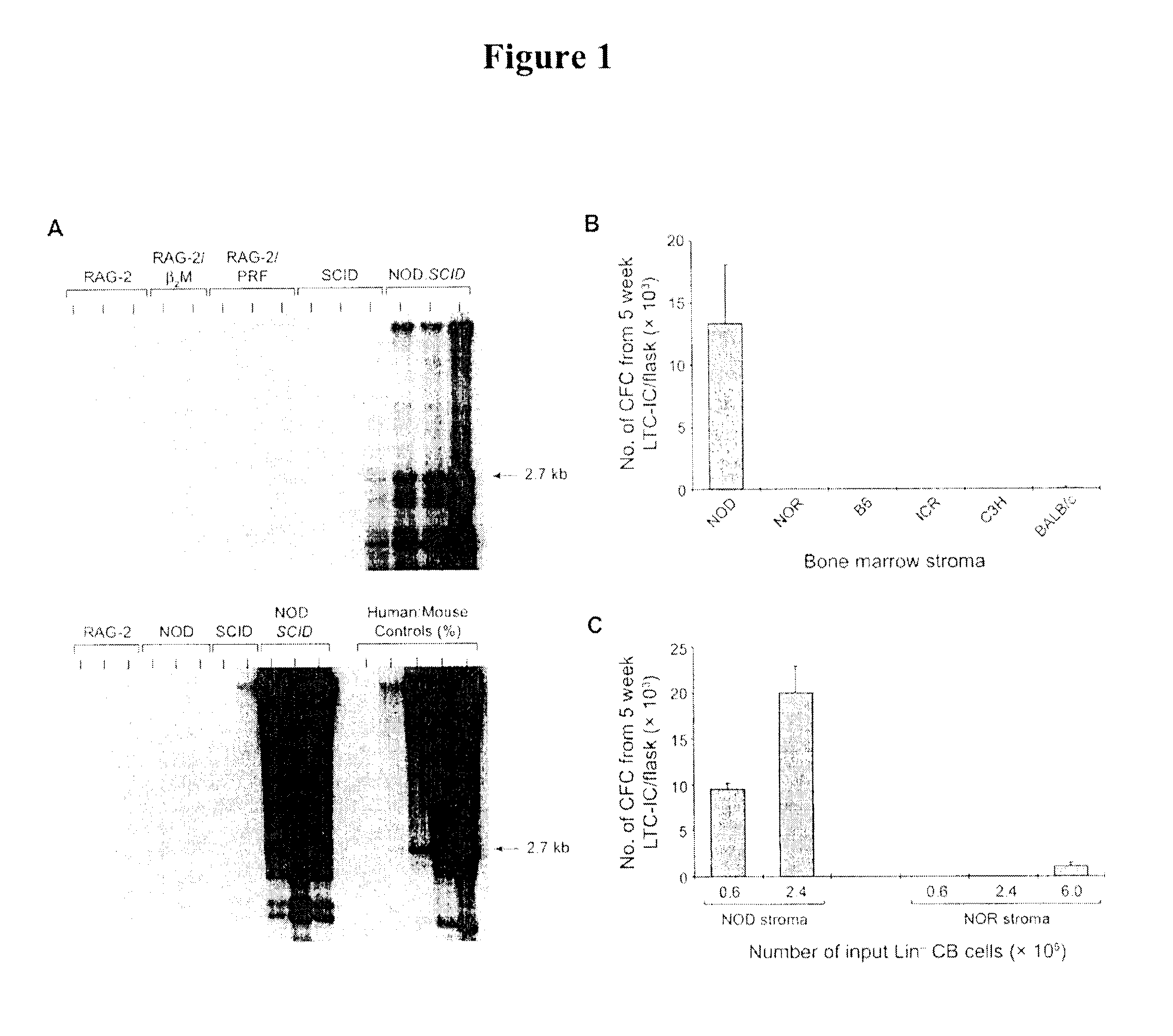 Modulation of sirp-alpha - cd47 interaction for increasing human hematopoietic stem cell engraftment and compounds therefor