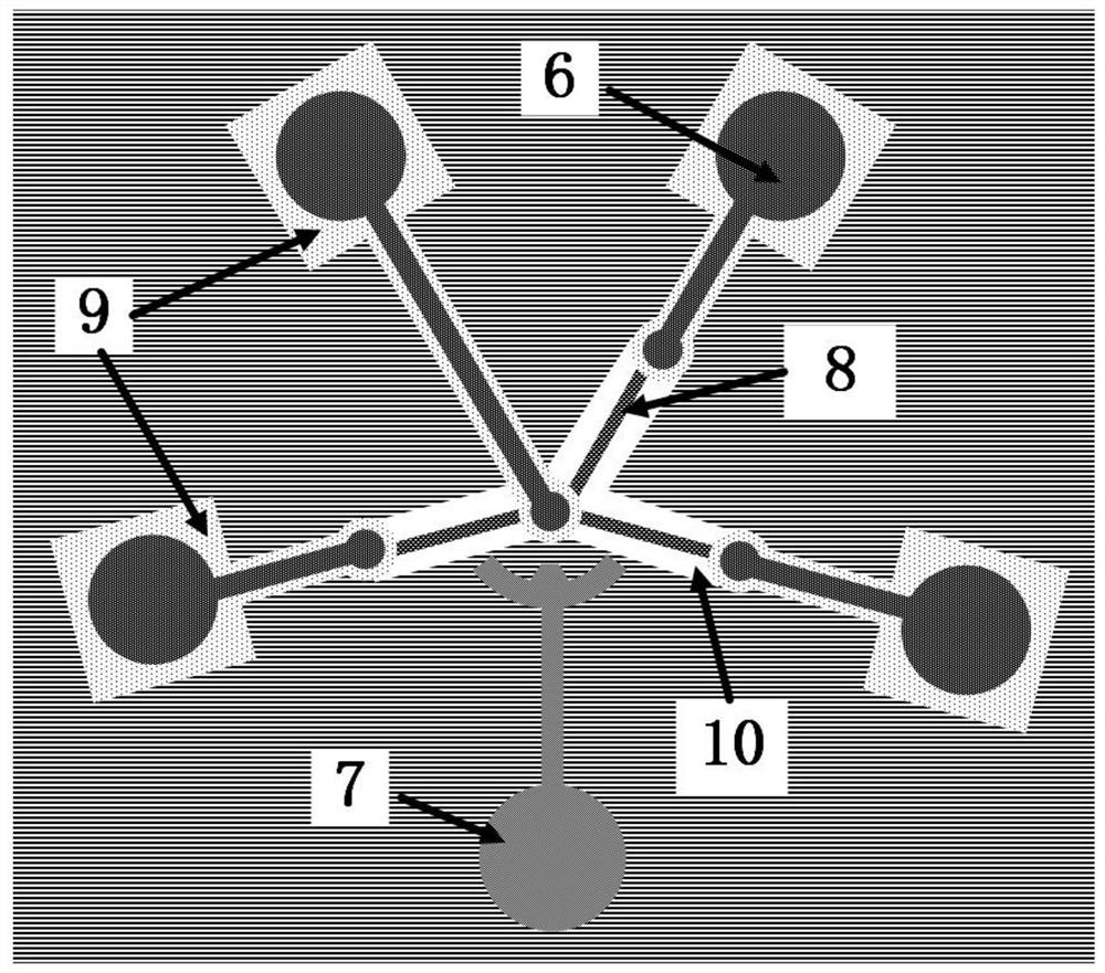 A photonic brain-like device for learning, memory and decision recognition and its preparation method