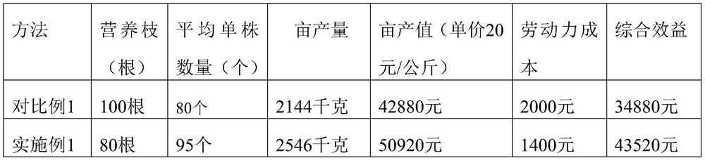 High-yield cultivation method for custard apple having high trunk, four main branches, and open-center-shaped crown