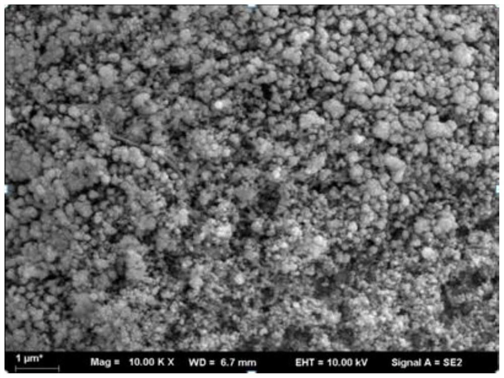 A cobalt oxide/sio  <sub>2</sub> Preparation method and application of composite omentum