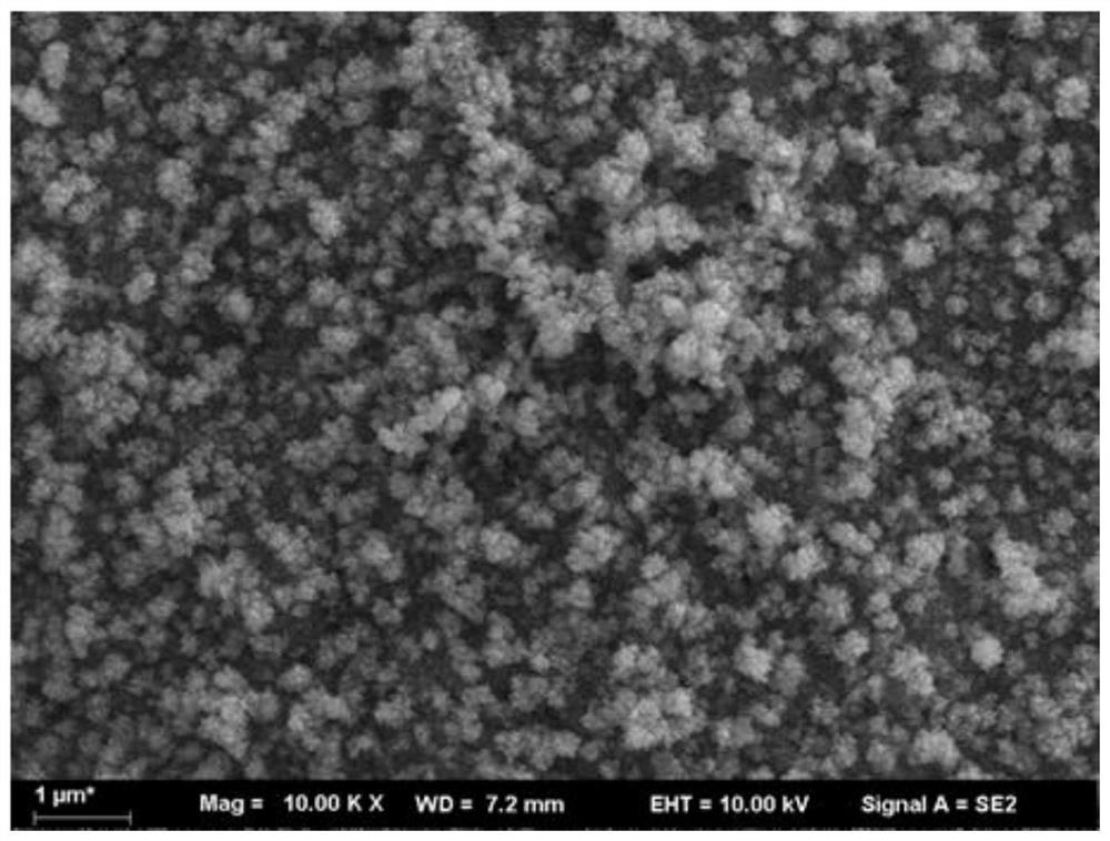 A cobalt oxide/sio  <sub>2</sub> Preparation method and application of composite omentum