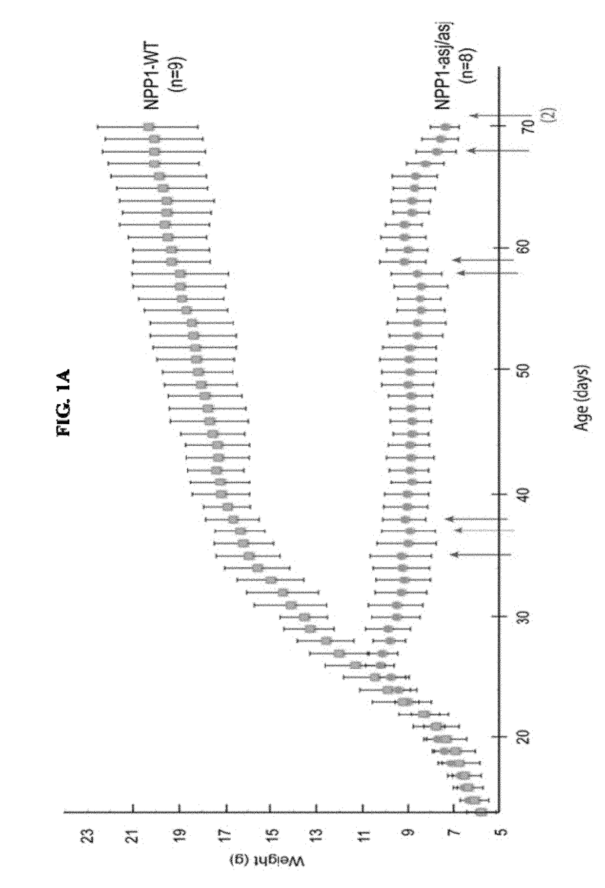 Compositions for Treating Pathological Calcification Conditions, and Methods Using Same