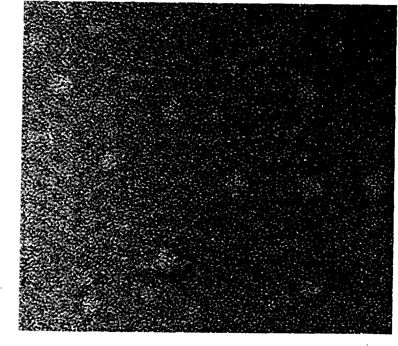 Magnetic tumor double-target polymer nano micelle and preparation thereof