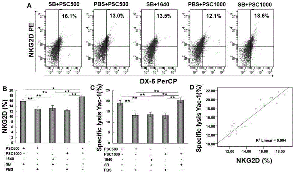 Applications of a TGF-beta1 receptor blocker in preparation of medicines treating Hydatid disease