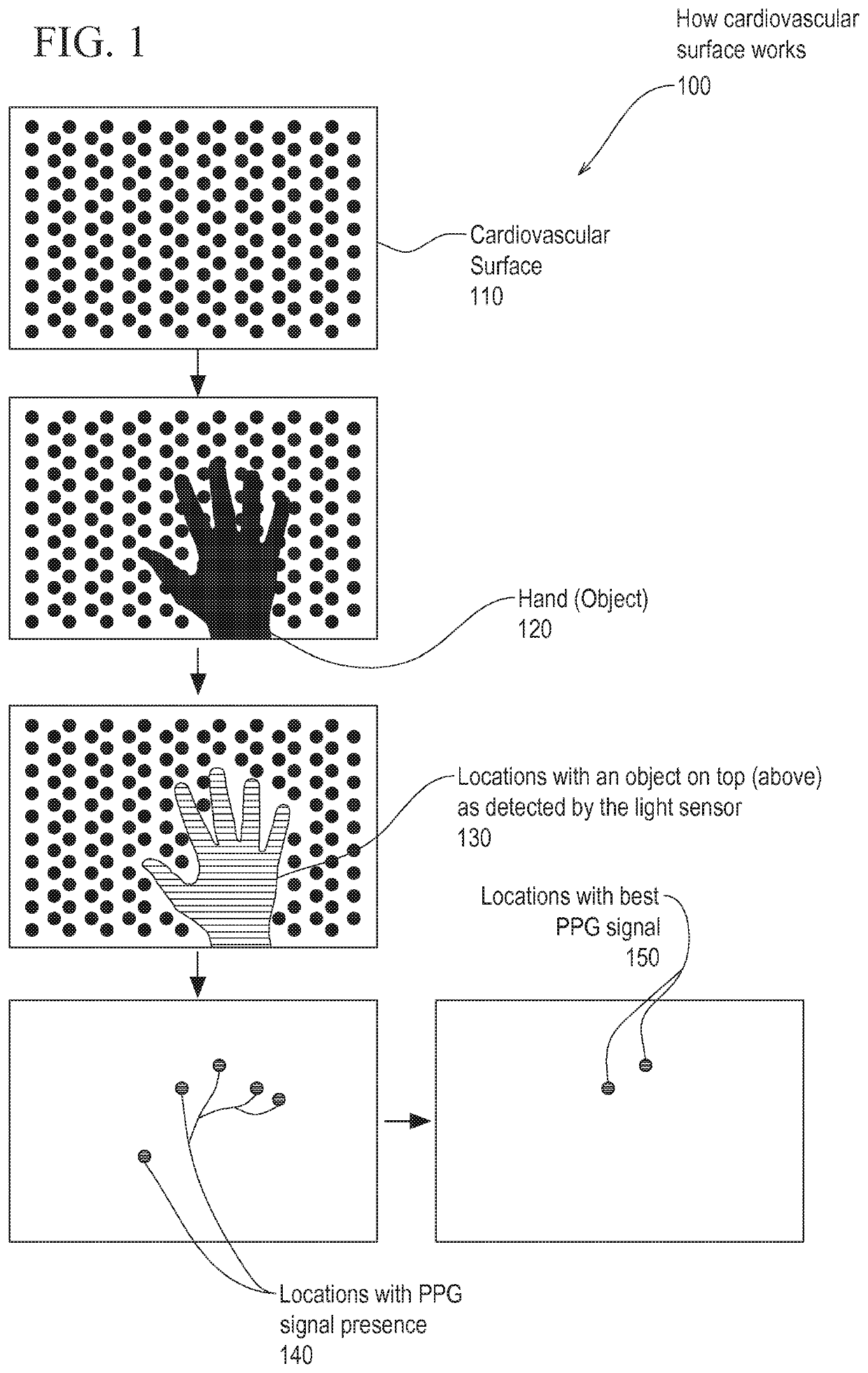 Cardiovascular health monitoring