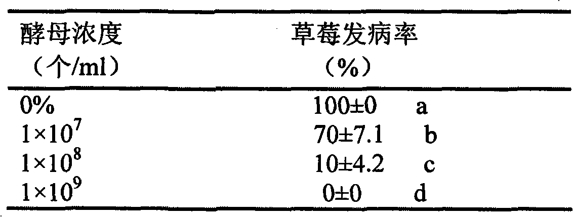 Pichiacaribbica, application thereof in fruit storage and refreshment and use method thereof