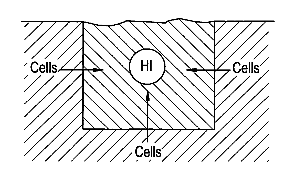 Musculo-skeletal implant having a bioactive gradient