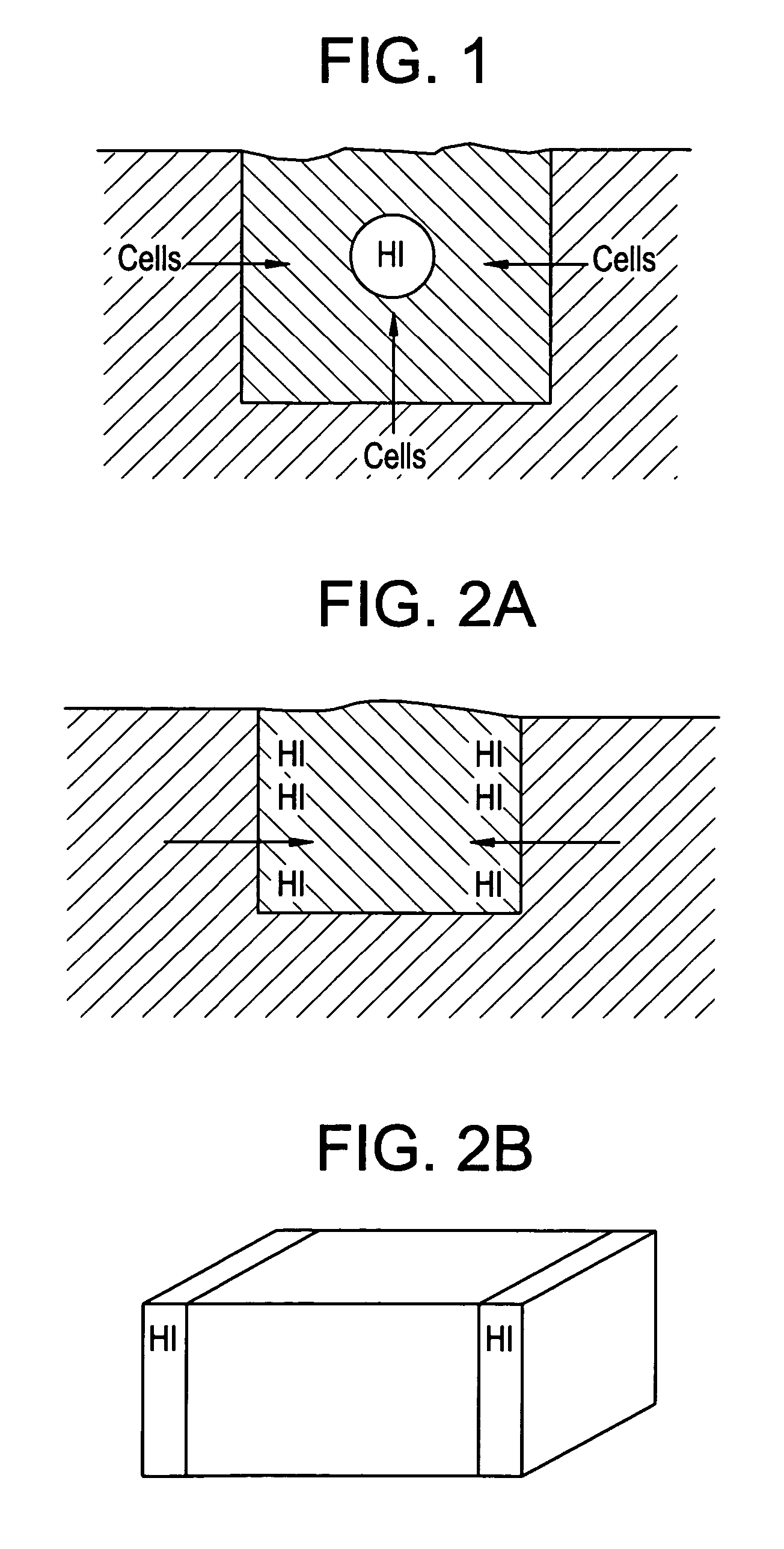 Musculo-skeletal implant having a bioactive gradient