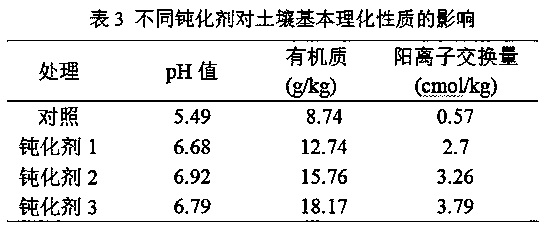 Passivator for arsenic-cadmium composite contaminated soil as well as preparation method and application method thereof