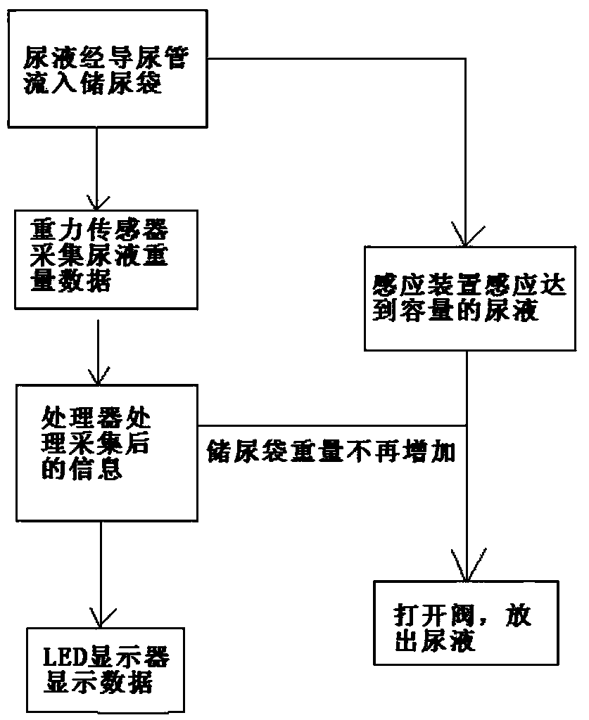 Urine guide and storage device capable of detecting urine flow