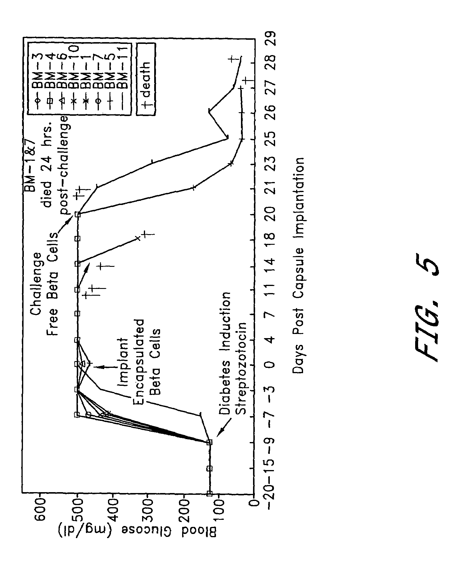 Prevention of diabetes through induction of immunological tolerance