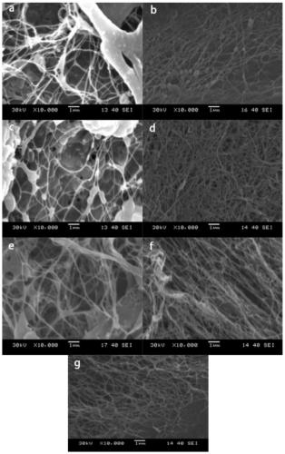 A kind of improved fermentation method of bacterial cellulose