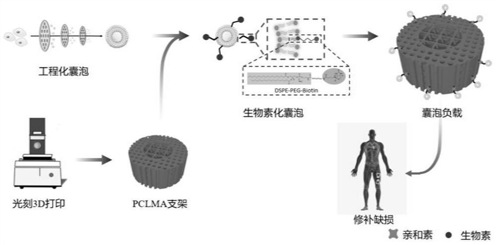 Preparation method of bone defect repair stent