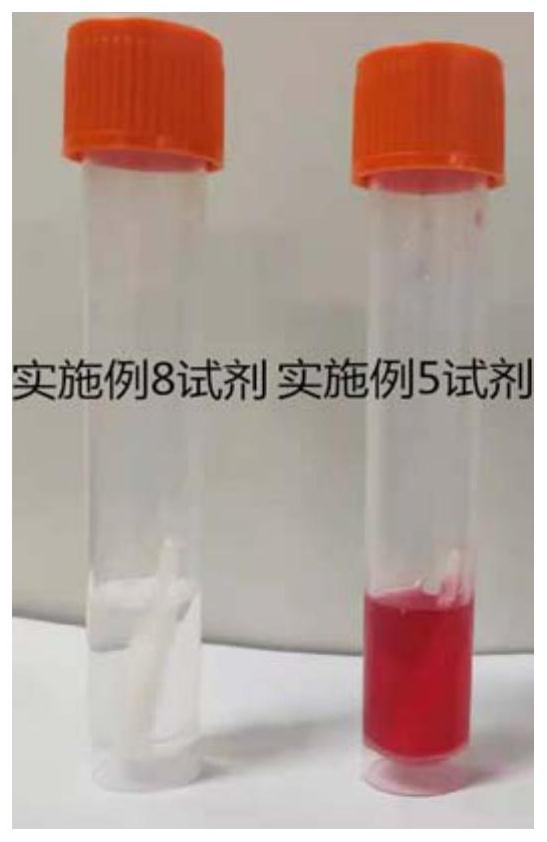 Reagent composition used for preserving virus sample, and preservation method