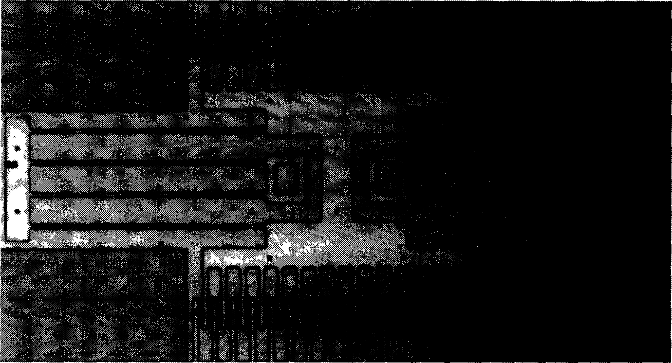 System and method for testing three-dimensional motion of microstructure by image matching and phase shift interference