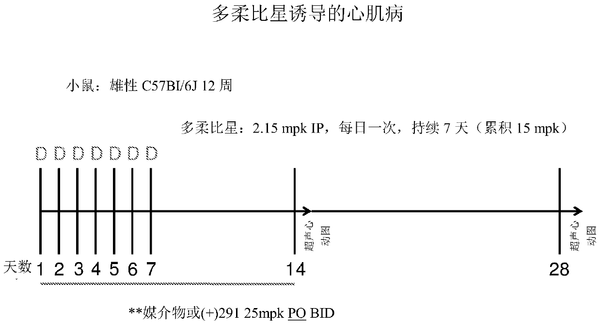 Inhibitors of short-chain dehydrogenase activity for treating coronary disorders