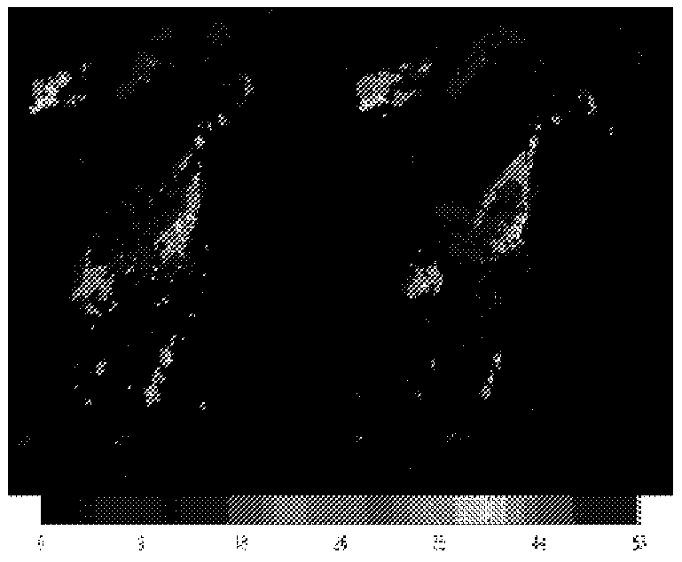 A self-learning nowcasting system for modeling, recording, and predicting convective weather