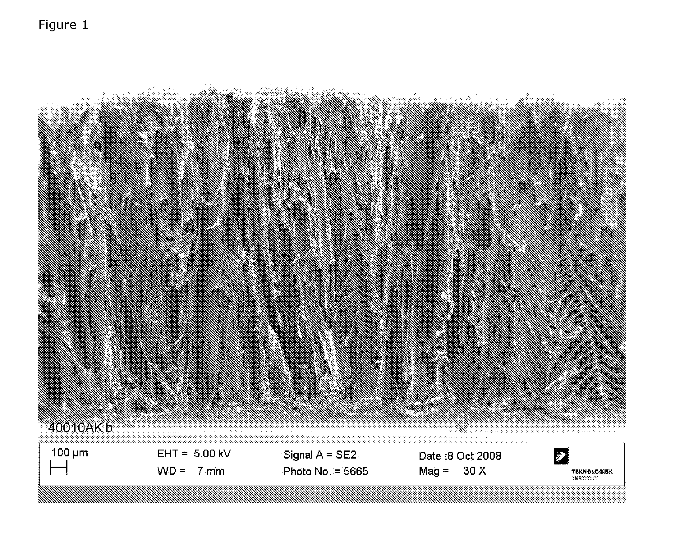 Biodegradable scaffold for soft tissue regeneration and use thereof