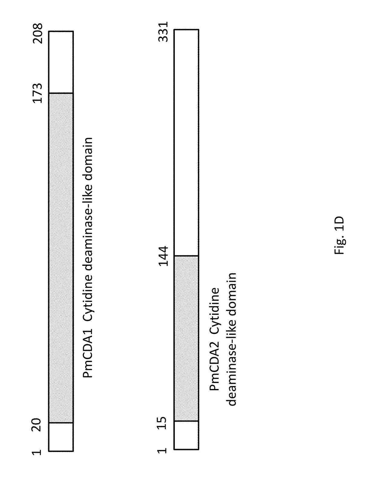 Composition and method for diversifying polypeptide libraries