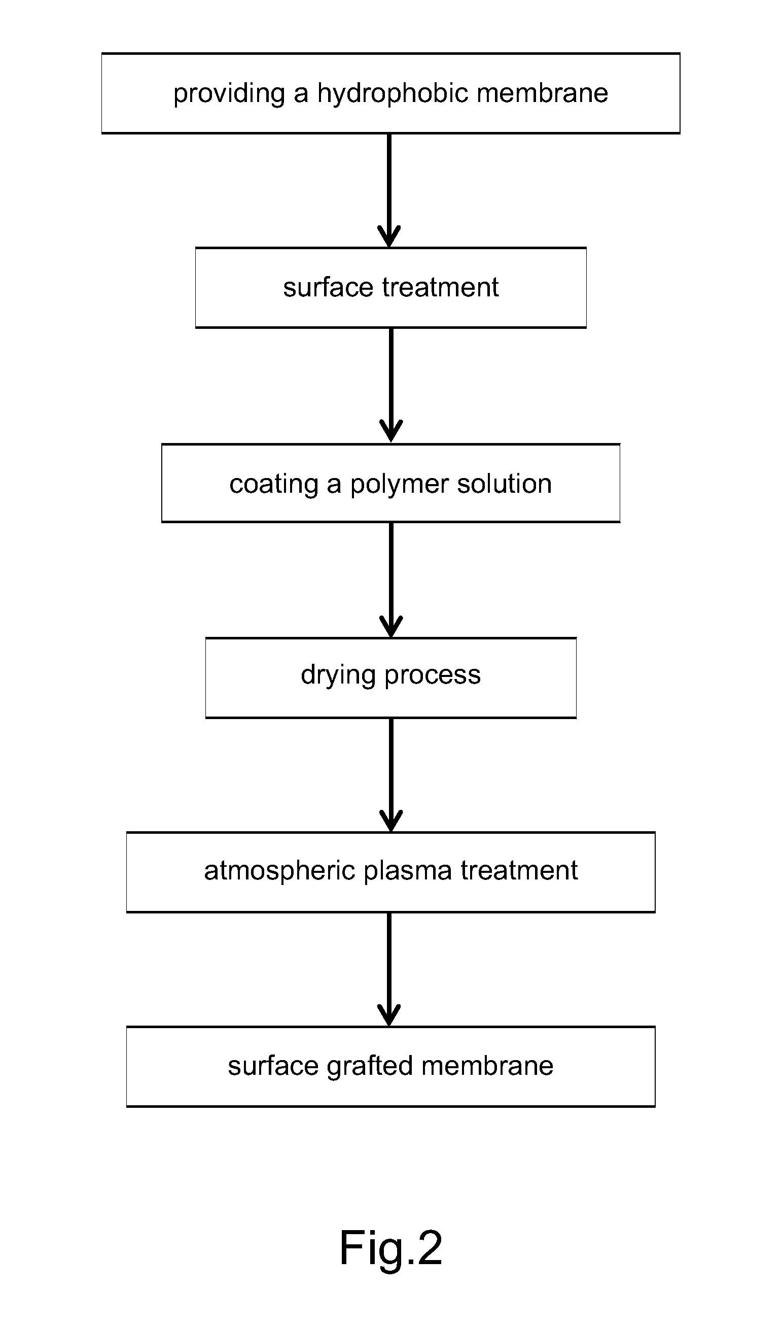 Wound Healing Material And Application Thereof