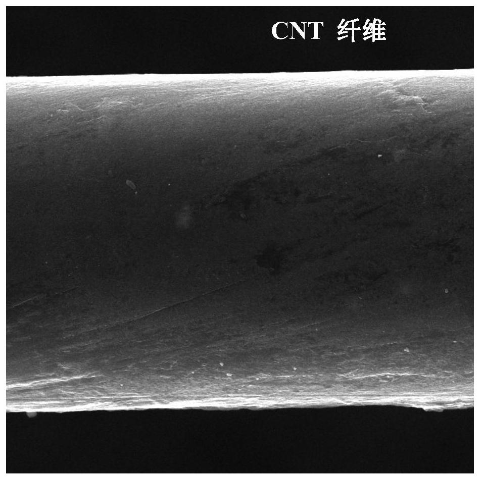 Carbon nanotube elastic core-spun yarn as well as preparation method and application thereof