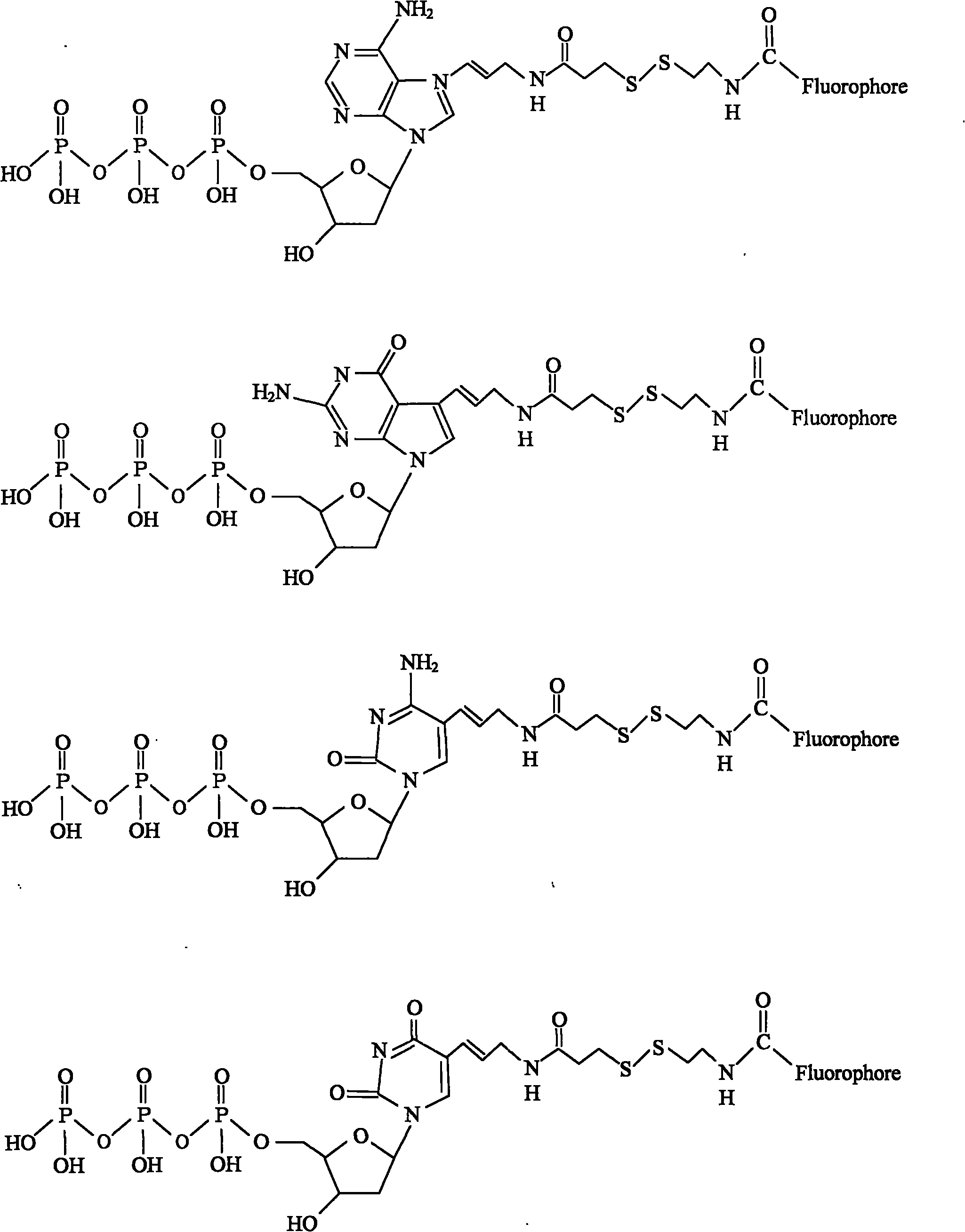 Nucleotide carrying modifiers and preparation method thereof and method for gene sequencing