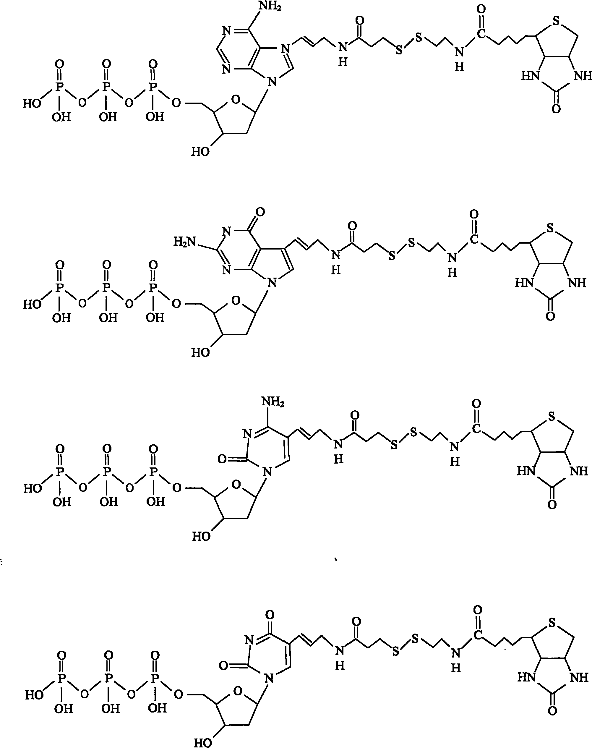 Nucleotide carrying modifiers and preparation method thereof and method for gene sequencing