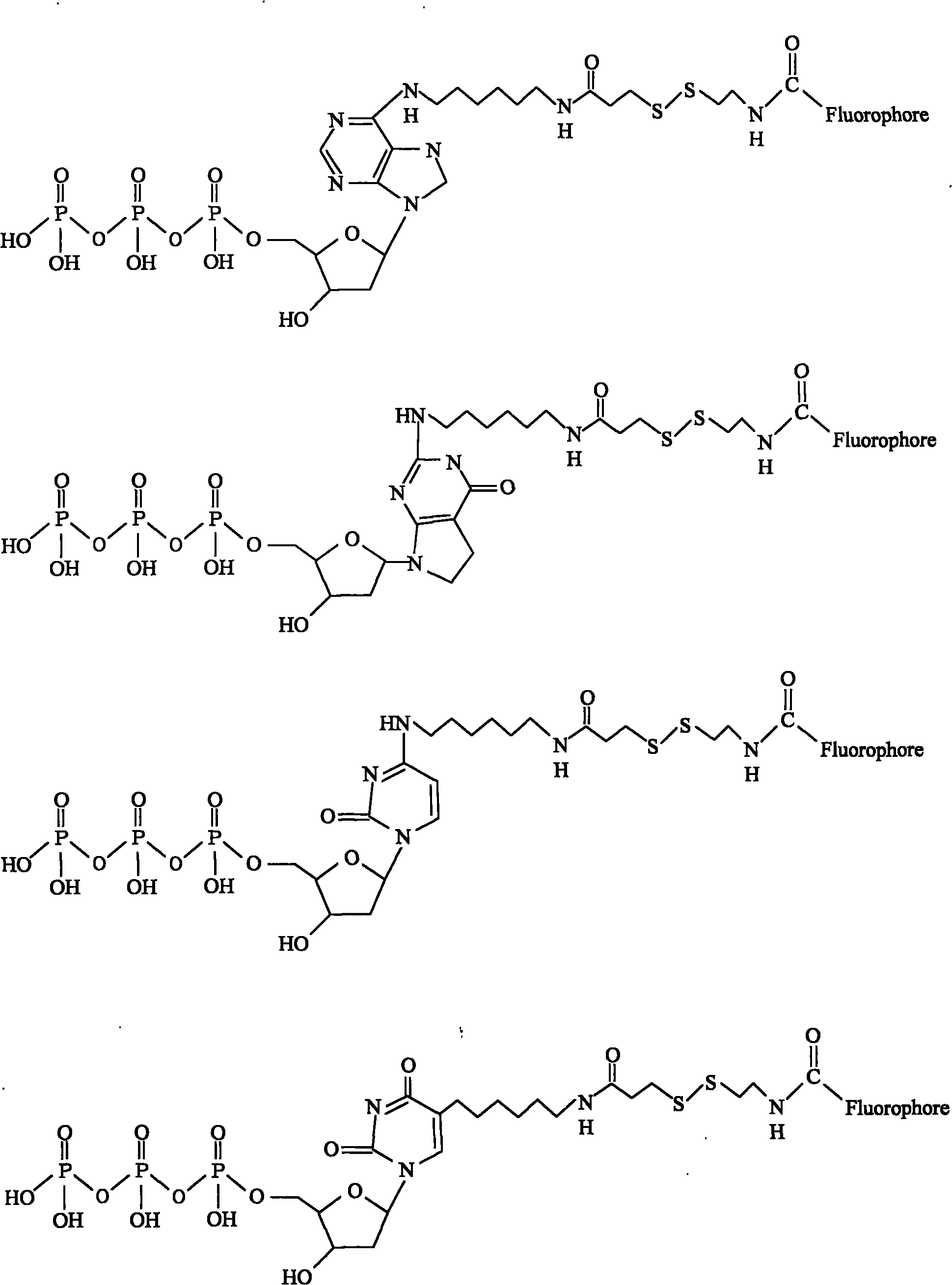 Nucleotide carrying modifiers and preparation method thereof and method for gene sequencing