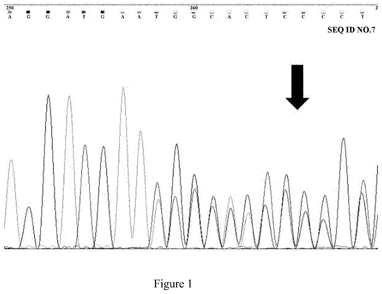 Screening method for homozygous genotype agouti hair color rabbits