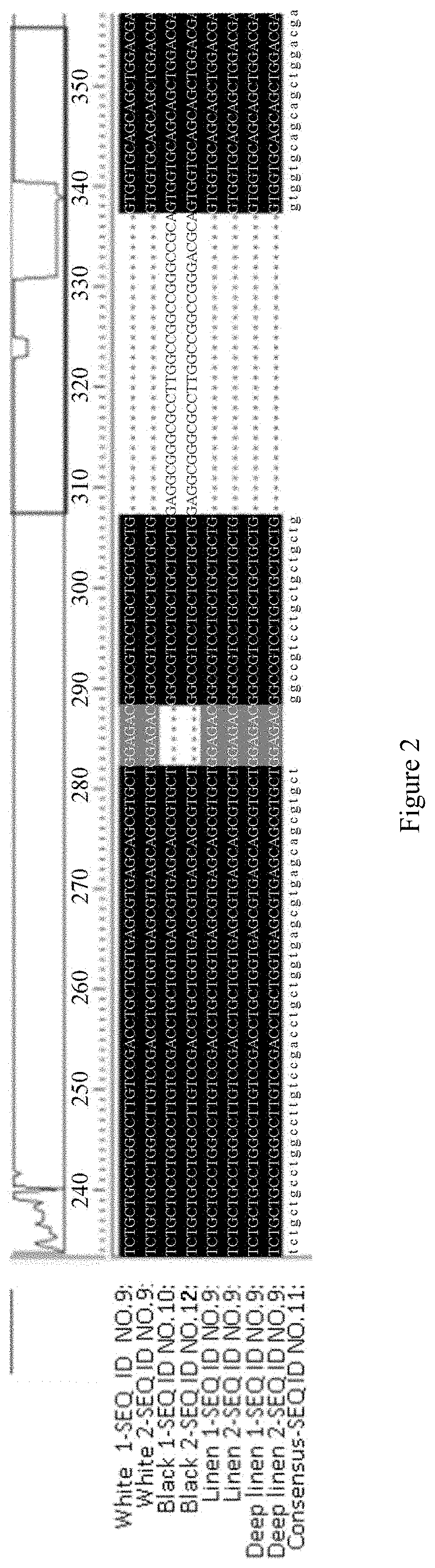 Screening method for homozygous genotype agouti hair color rabbits